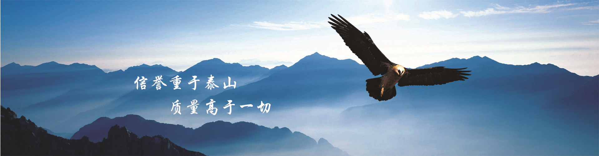 南寧柴油發(fā)電機(jī)廠(chǎng)家